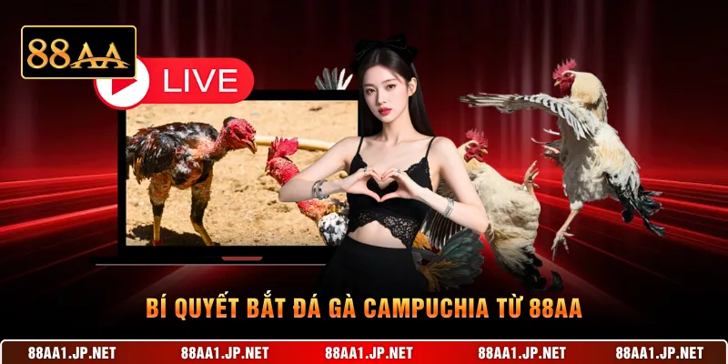 Bí quyết bắt đá gà Campuchia từ 88AA