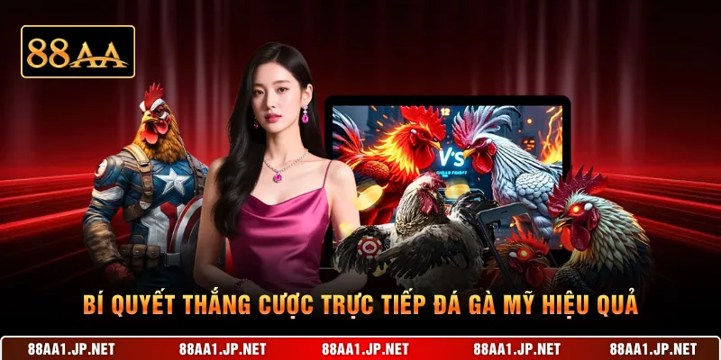 Bí quyết thắng cược trực tiếp đá gà Mỹ hiệu quả