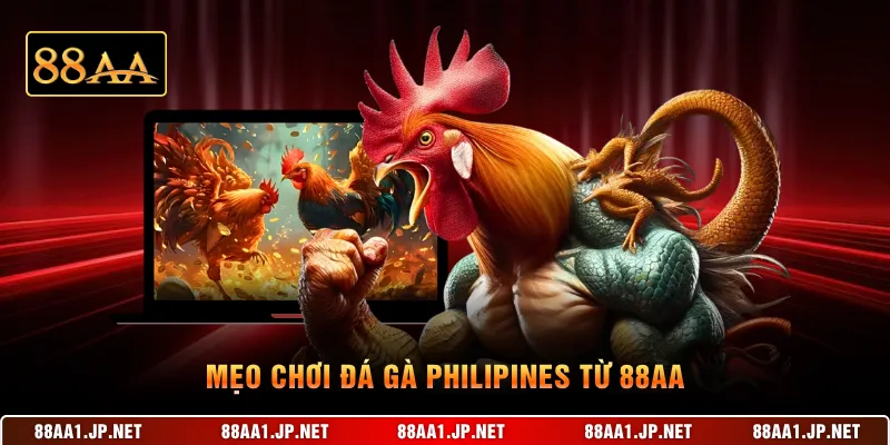 Mẹo chơi đá gà Philipines từ 88AA