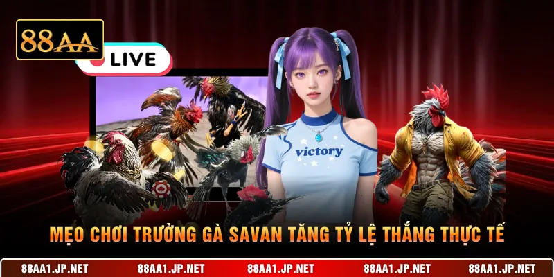 Mẹo chơi trường gà Savan tăng tỷ lệ thắng thực tế