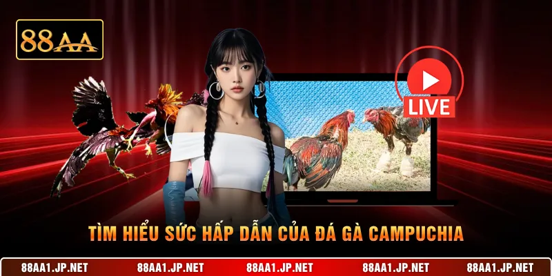Tìm hiểu sức hấp dẫn của đá gà Campuchia