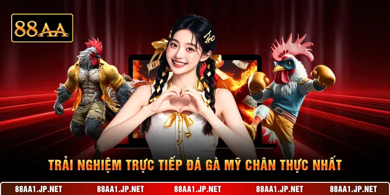 Trải nghiệm trực tiếp đá gà Mỹ chân thực nhất